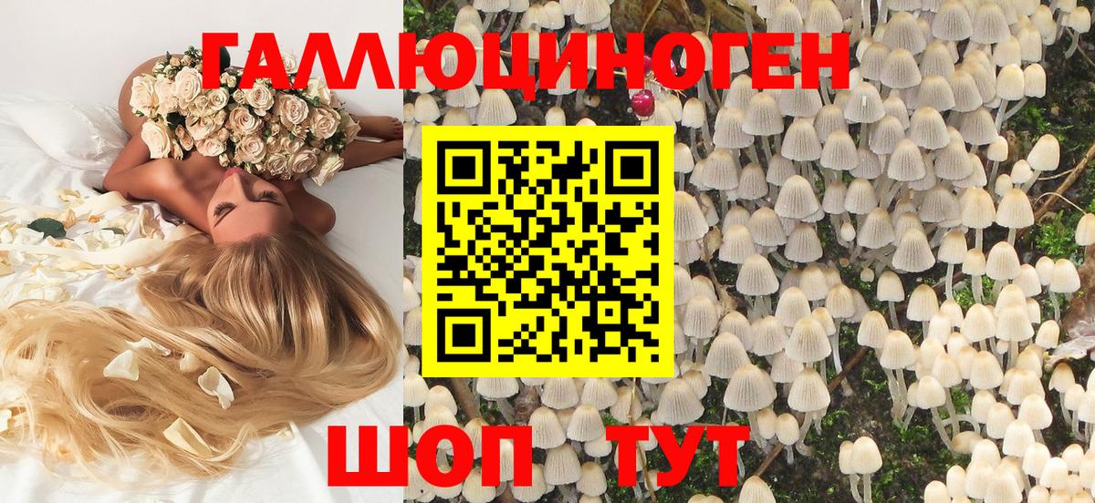Галлюциногенные грибы MAGIC MUSHROOMS  Вход с VPN  Вязники 